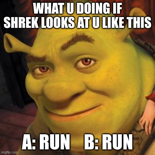 Shrek Sexy Face | WHAT U DOING IF SHREK LOOKS AT U LIKE THIS; A: RUN    B: RUN | image tagged in shrek sexy face | made w/ Imgflip meme maker