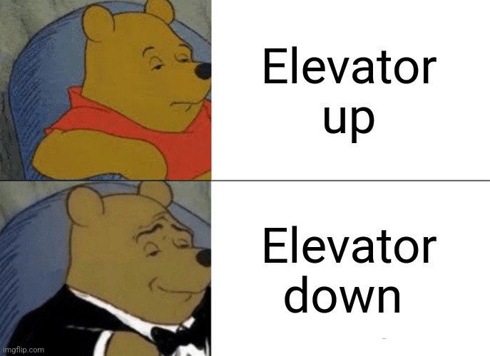 Elevator up and elevator down | Elevator up; Elevator down | image tagged in memes,tuxedo winnie the pooh,jpfan102504 | made w/ Imgflip meme maker