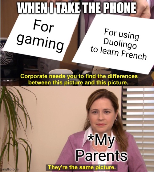 When I take the phone | WHEN I TAKE THE PHONE; For gaming; For using Duolingo to learn French; *My Parents | image tagged in memes,they're the same picture | made w/ Imgflip meme maker