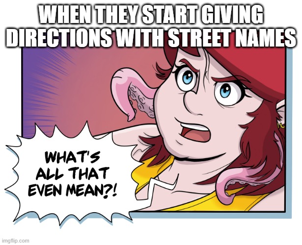 Streets Have Names? | WHEN THEY START GIVING DIRECTIONS WITH STREET NAMES | image tagged in what's all that even mean | made w/ Imgflip meme maker