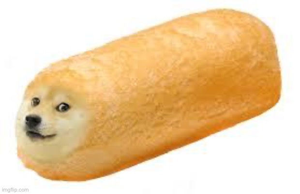 twinkie doge | image tagged in twinkie doge | made w/ Imgflip meme maker