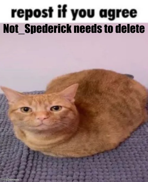 repost if you agree | Not_Spederick needs to delete | image tagged in repost if you agree | made w/ Imgflip meme maker