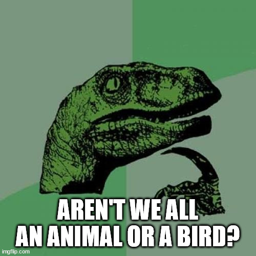 Philosoraptor Meme | AREN'T WE ALL AN ANIMAL OR A BIRD? | image tagged in memes,philosoraptor | made w/ Imgflip meme maker