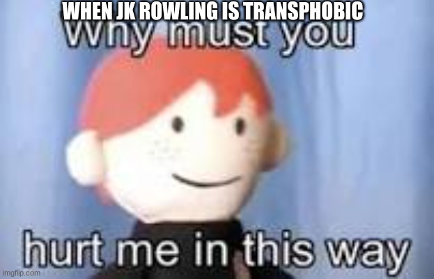 Why must you hurt me in this way | WHEN JK ROWLING IS TRANSPHOBIC | image tagged in why must you hurt me in this way,harry potter,transphobic | made w/ Imgflip meme maker