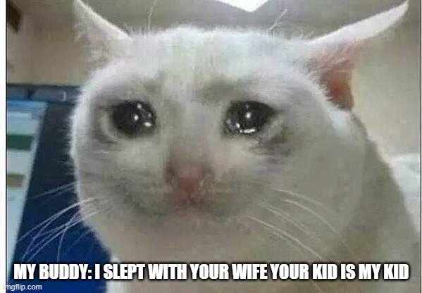 crying cat | MY BUDDY: I SLEPT WITH YOUR WIFE YOUR KID IS MY KID | image tagged in crying cat | made w/ Imgflip meme maker