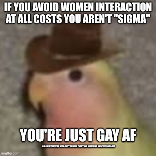 Thought I had while watching some yt shorts memes | IF YOU AVOID WOMEN INTERACTION AT ALL COSTS YOU AREN'T "SIGMA"; YOU'RE JUST GAY AF; OR AN INTROVERT WHO JUST AVOIDS EVERYONE WHICH IS UNDERSTANDABLE | image tagged in gonb | made w/ Imgflip meme maker