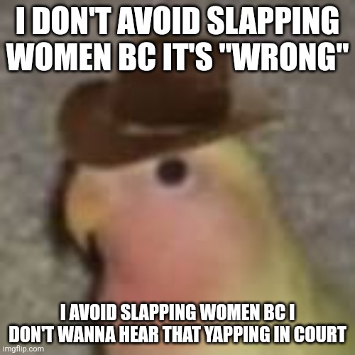 Gonb | I DON'T AVOID SLAPPING WOMEN BC IT'S "WRONG"; I AVOID SLAPPING WOMEN BC I DON'T WANNA HEAR THAT YAPPING IN COURT | image tagged in gonb | made w/ Imgflip meme maker