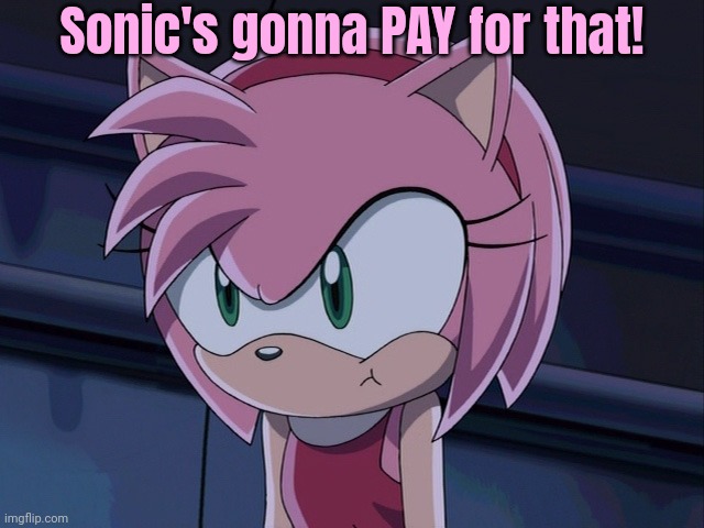 Amy Rose | Sonic's gonna PAY for that! | image tagged in amy rose | made w/ Imgflip meme maker