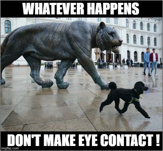 It's Behind You ! | WHATEVER HAPPENS; DON'T MAKE EYE CONTACT ! | image tagged in dogs,tiger,statue,eye contact | made w/ Imgflip meme maker