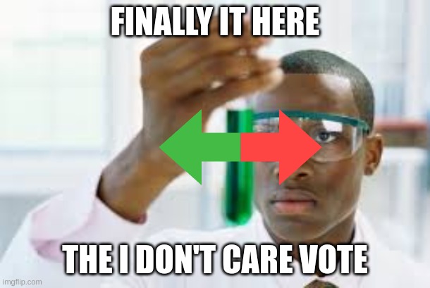 FINALLY | FINALLY IT HERE; THE I DON'T CARE VOTE | image tagged in finally,memes,funny memes,i don't care,funny | made w/ Imgflip meme maker