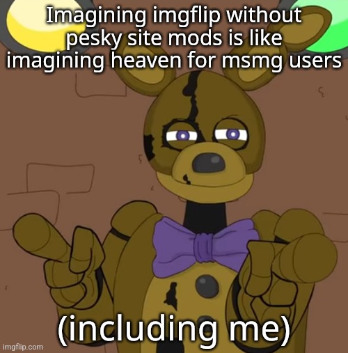 hehehehaw fack u | Imagining imgflip without pesky site mods is like imagining heaven for msmg users; (including me) | image tagged in hehehehaw fack u | made w/ Imgflip meme maker