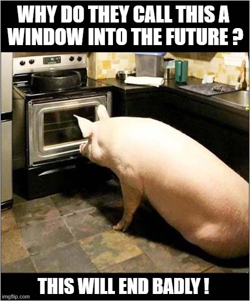 One Naive Pig ! | WHY DO THEY CALL THIS A
 WINDOW INTO THE FUTURE ? THIS WILL END BADLY ! | image tagged in pigs,naive,oven,dark humour | made w/ Imgflip meme maker