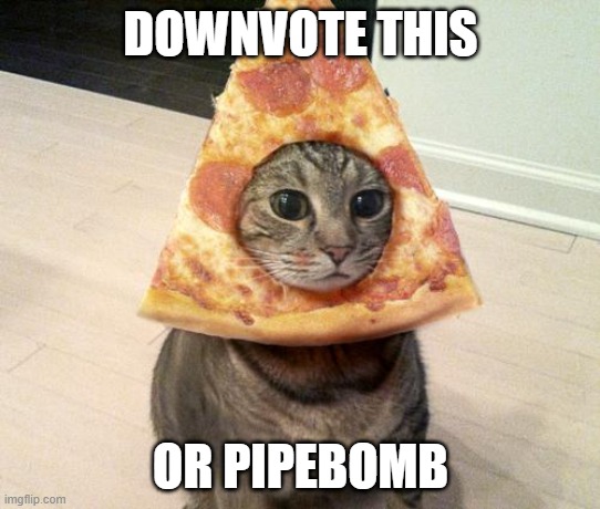 I have an idea. | DOWNVOTE THIS; OR PIPEBOMB | image tagged in pizza cat | made w/ Imgflip meme maker