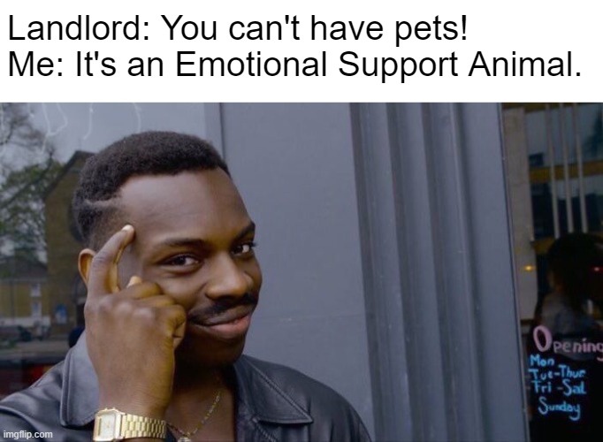 Landlords think they're clever... | Landlord: You can't have pets!
Me: It's an Emotional Support Animal. | image tagged in memes,roll safe think about it,funny memes,fun,funny,smart | made w/ Imgflip meme maker