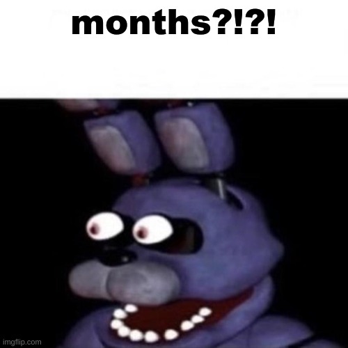 Bonnie Eye Pop | months?!?! | image tagged in bonnie eye pop | made w/ Imgflip meme maker