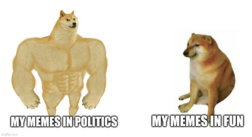 Buff Doge vs Crying Cheems | MY MEMES IN POLITICS; MY MEMES IN FUN | image tagged in buff doge vs crying cheems | made w/ Imgflip meme maker