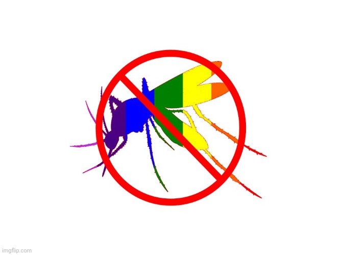 say no to gay mosquitoes | image tagged in say no to gay mosquitoes | made w/ Imgflip meme maker