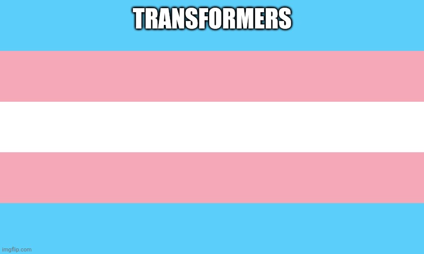 transflag | TRANSFORMERS | image tagged in transflag | made w/ Imgflip meme maker