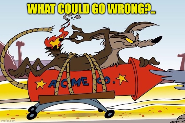 Wile e Coyote | WHAT COULD GO WRONG?.. | image tagged in wile e coyote | made w/ Imgflip meme maker