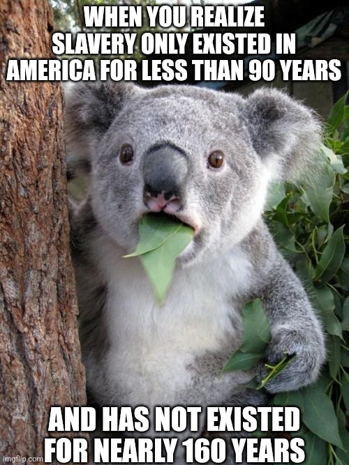 This is what your grandparents meant by riding a dead horse.... | WHEN YOU REALIZE SLAVERY ONLY EXISTED IN AMERICA FOR LESS THAN 90 YEARS; AND HAS NOT EXISTED FOR NEARLY 160 YEARS | image tagged in surprised koala,politics,no racism,history,hypocrisy,you can't handle the truth | made w/ Imgflip meme maker