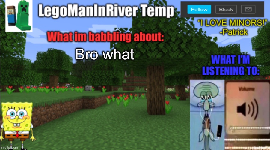 LegoManInRiver New Temp | Bro what | image tagged in legomaninriver new temp | made w/ Imgflip meme maker