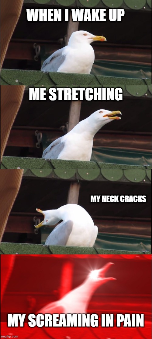 Inhaling Seagull | WHEN I WAKE UP; ME STRETCHING; MY NECK CRACKS; MY SCREAMING IN PAIN | image tagged in memes,inhaling seagull | made w/ Imgflip meme maker