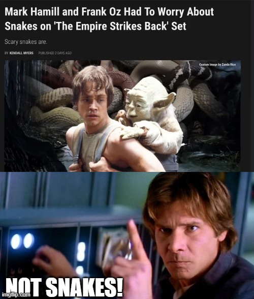 Good Thing Han Didn't Go to Degobah | NOT SNAKES! | image tagged in angry han solo | made w/ Imgflip meme maker