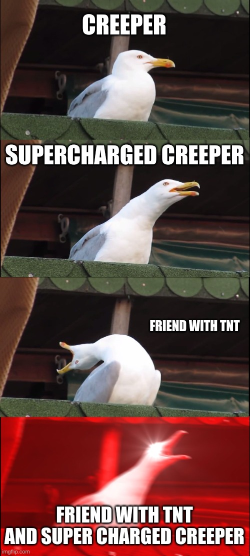 minecraft | CREEPER; SUPERCHARGED CREEPER; FRIEND WITH TNT; FRIEND WITH TNT AND SUPER CHARGED CREEPER | image tagged in memes,inhaling seagull | made w/ Imgflip meme maker
