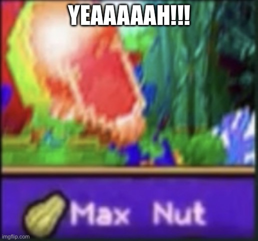 Max nut | YEAAAAAH!!! | image tagged in max nut | made w/ Imgflip meme maker