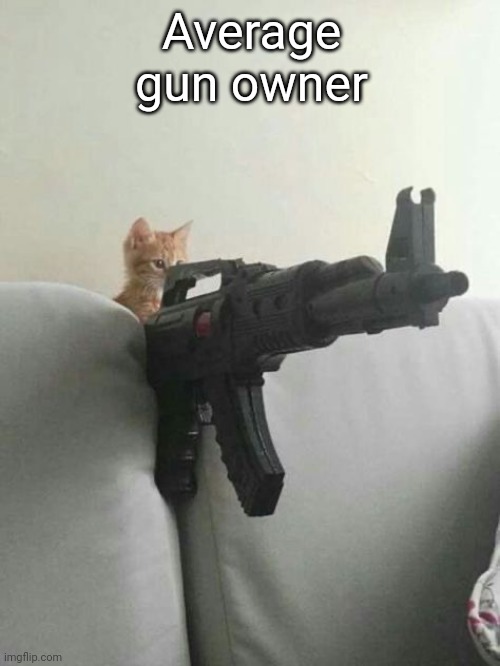 (Pussies) | Average gun owner | image tagged in pew pew | made w/ Imgflip meme maker