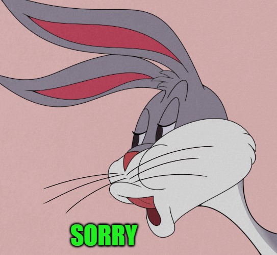 bugs bunny | SORRY | image tagged in bugs bunny | made w/ Imgflip meme maker