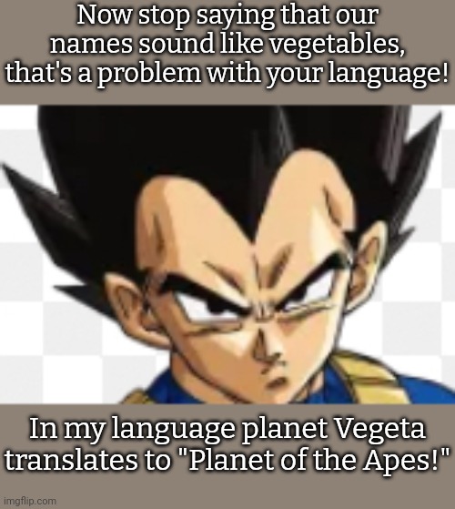 What kind of universal translator are they using? | Now stop saying that our names sound like vegetables, that's a problem with your language! In my language planet Vegeta translates to "Planet of the Apes!" | image tagged in vegeta,dragonball z,funny names,manga | made w/ Imgflip meme maker