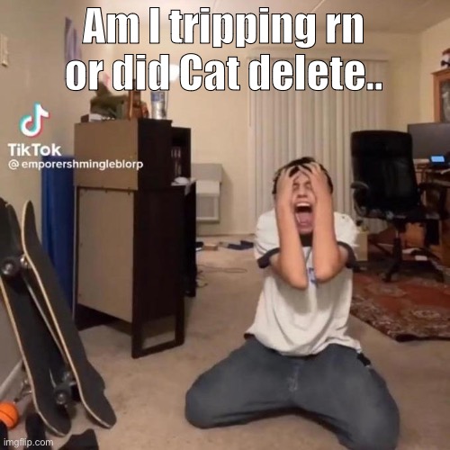 me rn | Am I tripping rn or did Cat delete.. | image tagged in me rn | made w/ Imgflip meme maker