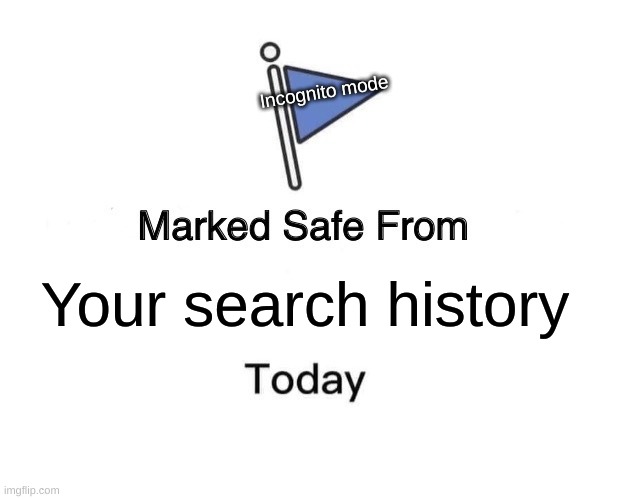 Very Silly little meme | Incognito mode; Your search history | image tagged in memes,marked safe from | made w/ Imgflip meme maker