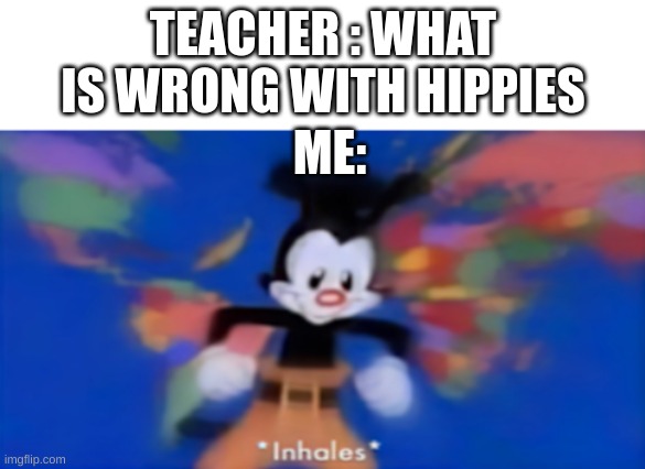 Yakko inhale | TEACHER : WHAT IS WRONG WITH HIPPIES; ME: | image tagged in yakko inhale | made w/ Imgflip meme maker