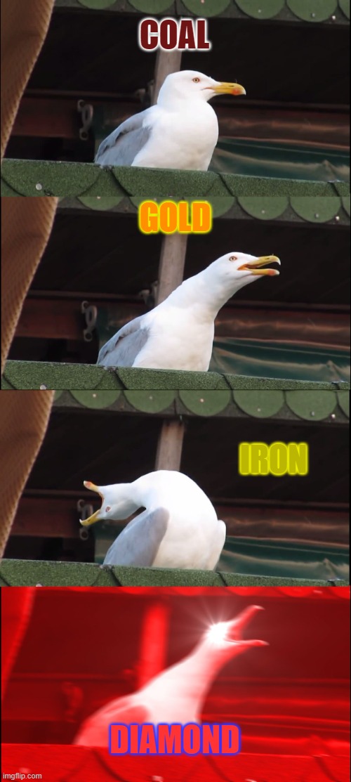 Inhaling Seagull Meme | COAL; GOLD; IRON; DIAMOND | image tagged in memes,inhaling seagull | made w/ Imgflip meme maker