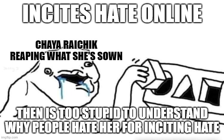You reap what you sow. You get what you give. What goes around comes around. Every action has an equal but opposite reaction. | INCITES HATE ONLINE; CHAYA RAICHIK
REAPING WHAT SHE'S SOWN; THEN IS TOO STUPID TO UNDERSTAND WHY PEOPLE HATE HER FOR INCITING HATE | image tagged in stupid dumb drooling puzzle,hate,terrorism,free speech,transphobic,trolling the troll | made w/ Imgflip meme maker