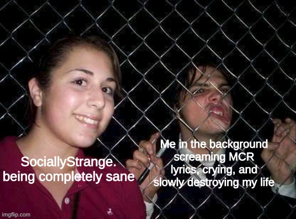 :'D | Me in the background screaming MCR lyrics, crying, and slowly destroying my life; SociallyStrange. being completely sane | image tagged in gerard way fence | made w/ Imgflip meme maker