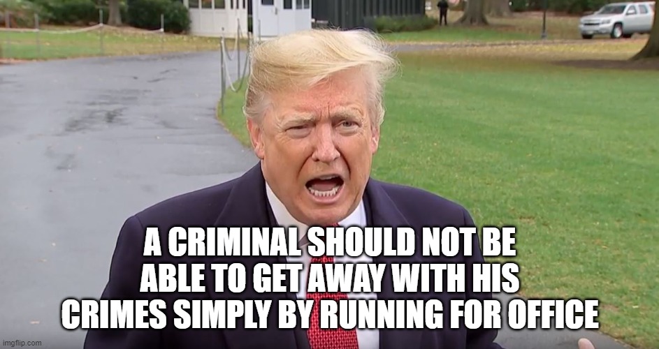 A CRIMINAL SHOULD NOT BE ABLE TO GET AWAY WITH HIS CRIMES SIMPLY BY RUNNING FOR OFFICE | image tagged in trump,criminal | made w/ Imgflip meme maker