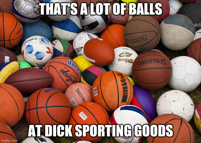 sports balls | THAT'S A LOT OF BALLS; AT DICK SPORTING GOODS | image tagged in sports balls | made w/ Imgflip meme maker