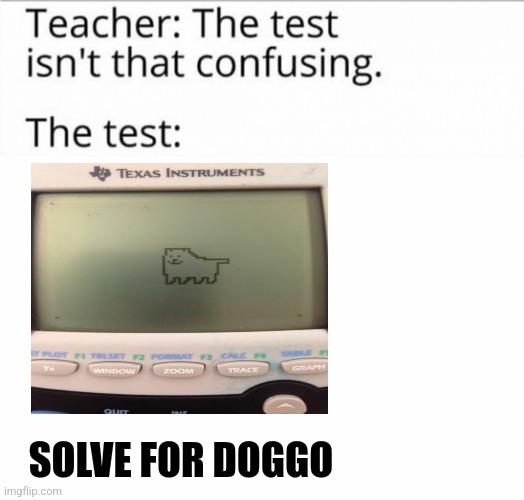 Solve for doggo | SOLVE FOR DOGGO | image tagged in the test isn't that confusing,math,undertale,dogs,jpfan102504 | made w/ Imgflip meme maker