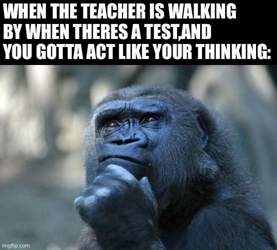 Deep Thoughts | WHEN THE TEACHER IS WALKING BY WHEN THERES A TEST,AND YOU GOTTA ACT LIKE YOUR THINKING: | image tagged in deep thoughts | made w/ Imgflip meme maker