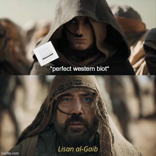 perfect western blot | *perfect western blot* | image tagged in lisan al-gaib dune messiah meme | made w/ Imgflip meme maker