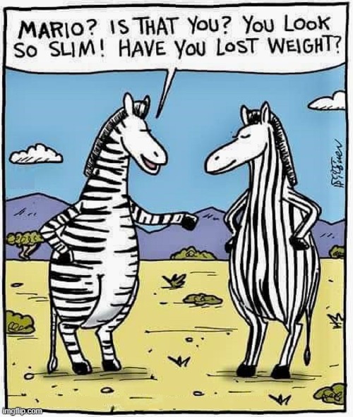 Proof:  Vertical Stripes are Slimming | image tagged in vince vance,zebras,stripes,cartoons,comics,memes | made w/ Imgflip meme maker