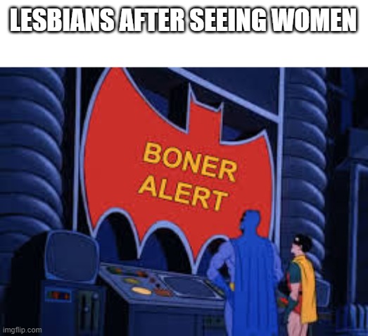 Boner Alert! Boner Alert! | LESBIANS AFTER SEEING WOMEN | image tagged in boner alert boner alert | made w/ Imgflip meme maker