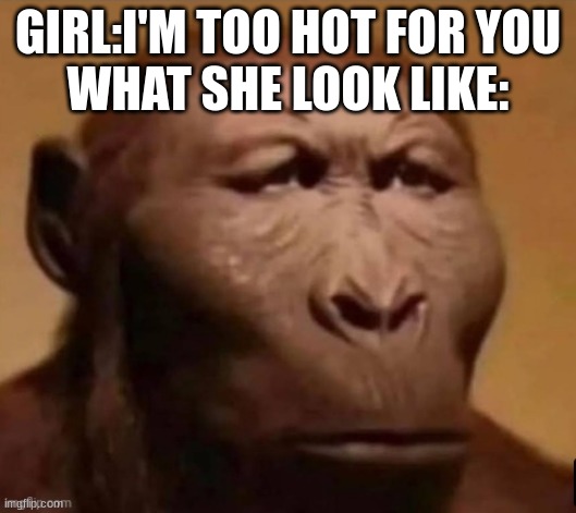 MEmeZ | GIRL:I'M TOO HOT FOR YOU
WHAT SHE LOOK LIKE: | image tagged in m | made w/ Imgflip meme maker