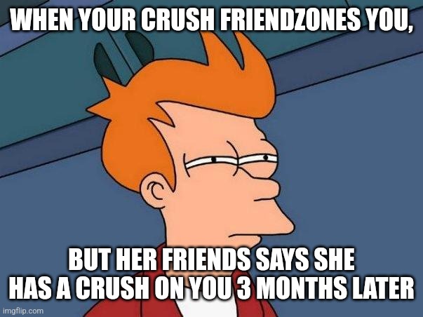 The signs are confusing... | WHEN YOUR CRUSH FRIENDZONES YOU, BUT HER FRIENDS SAYS SHE HAS A CRUSH ON YOU 3 MONTHS LATER | image tagged in skeptical fry | made w/ Imgflip meme maker