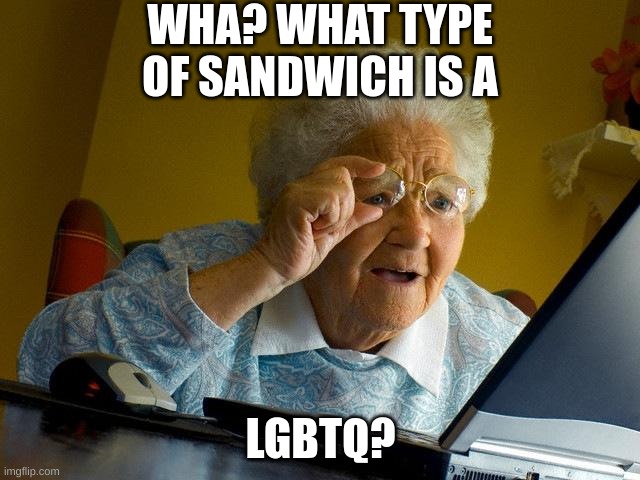 Grandma Finds The Internet | WHA? WHAT TYPE OF SANDWICH IS A; LGBTQ? | image tagged in memes,grandma finds the internet,funny,grandma,sandwich | made w/ Imgflip meme maker