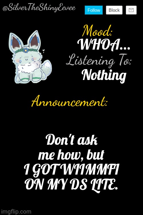 SilverTheShinyEevee Announcement Temp V4 | WHOA... Nothing; Don't ask me how, but I GOT WIIMMFI ON MY DS LITE. | image tagged in silvertheshinyeevee announcement temp v4 | made w/ Imgflip meme maker