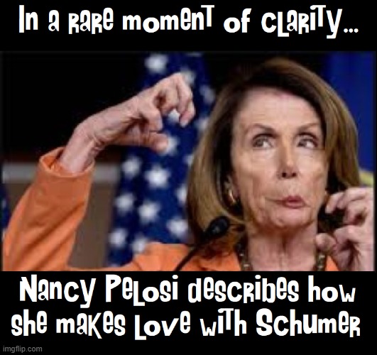 If Evil had a Fungus | image tagged in vince vance,nancy pelosi,making love,chuck schumer,memes,government corruption | made w/ Imgflip meme maker